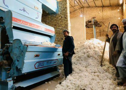 Balkh cotton processing factory starts functioning
