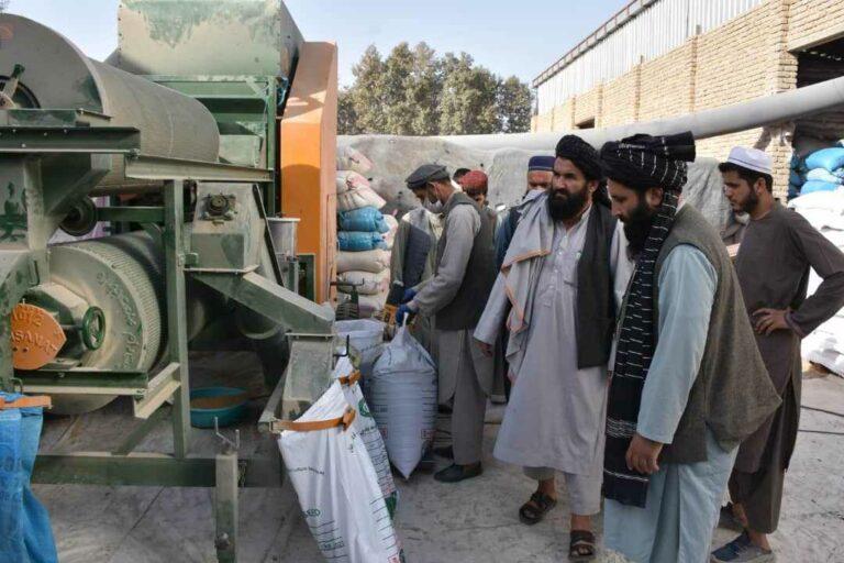 ‘Takhar becomes self-sufficient in refined seed production’  