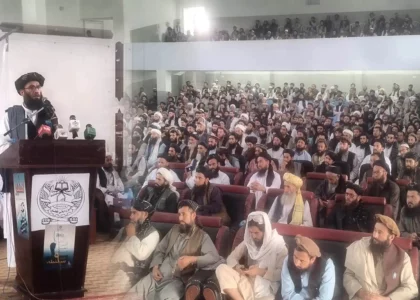 شیخ حنفی: امارت اسلامی در نظر دارد تا افراد متخصص و مسلکی را در نظام بگمارد