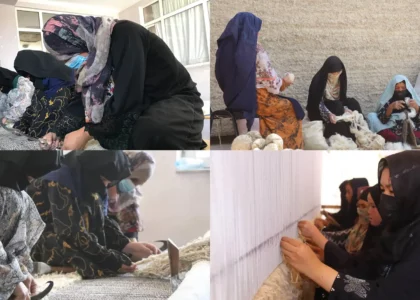 Balkh woman provides work to 300 other poor women