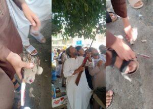 Jalalabad residents concerned at illegal hunting of Sach birds