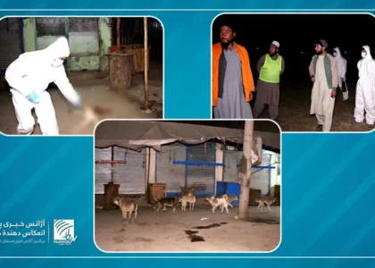 Stray dogs’ elimination campaign launched in Takhar