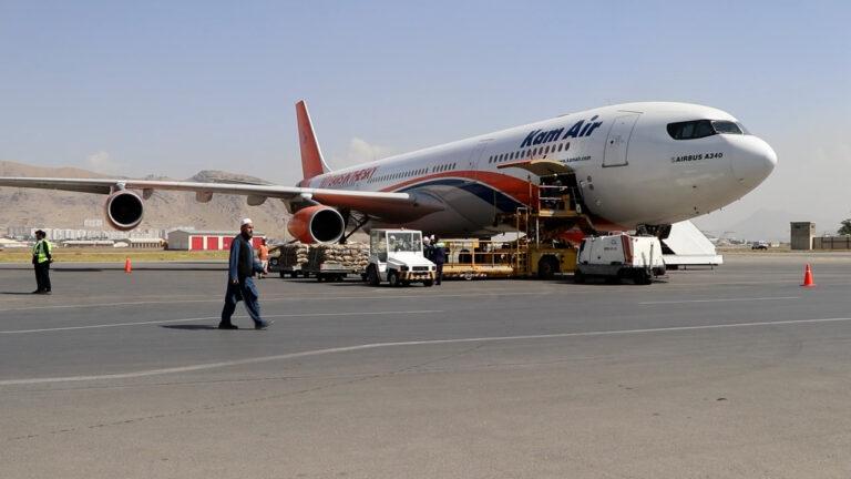 Afghanistan exports 60 tons of pine nuts to China