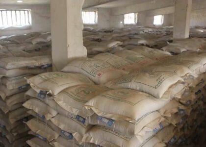 «در سال جاری ۱۵ هزار متریک تُن تخم اصلاح‌شدۀ گندم در چهار ولایت شمال‌شرقی تولید شده‌است»