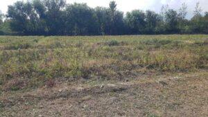Crops’ yield drastically drops in drought hit Parwan districts