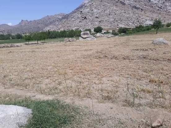 مسؤولین در دایکندی از تأثیرات منفی ناشی از تغییرات اقلیمی ابراز نگرانی کردند