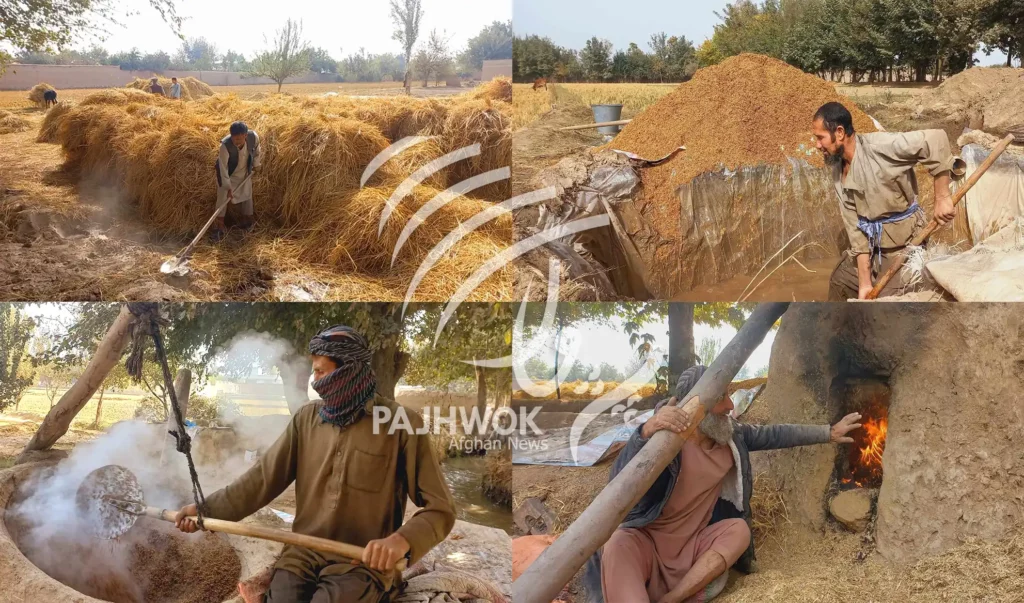 Takhar farmers blame reduced rice yield on lack of facilities