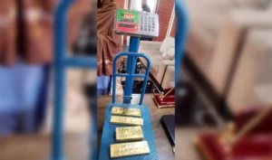 حیرتان بندر کې د څه باندې ۱۴ کیلوګرامه سرو زرو د قاچاق مخه نیول شوې ده 