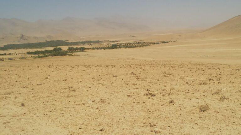 Above 15,000 acres of state land reclaimed in 14 provinces