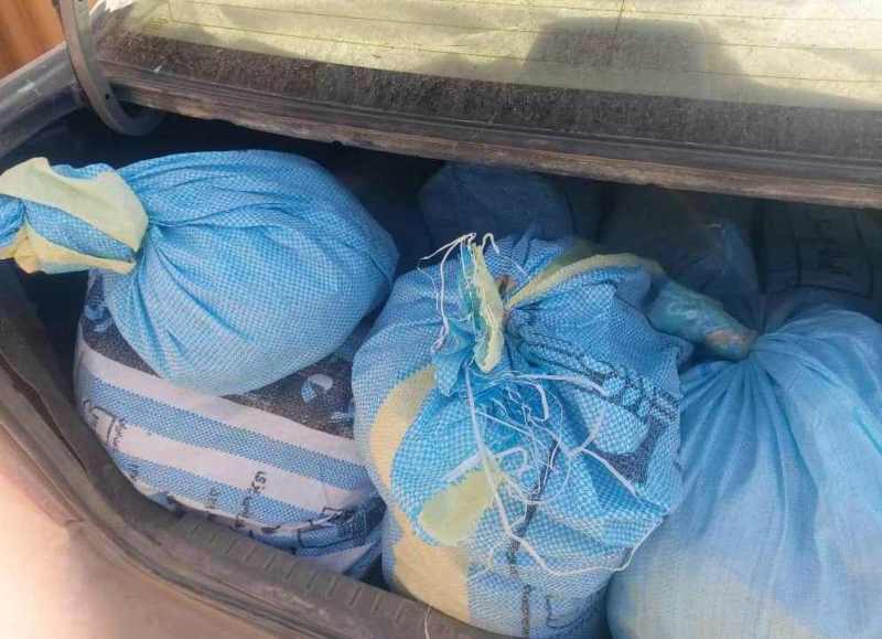 4 held with 350kg of drugs in Logar’s capital