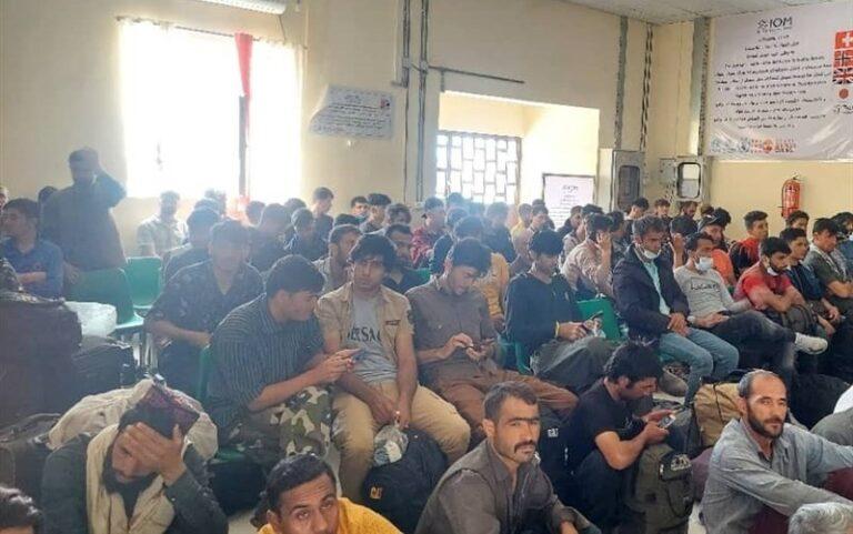 Address refugees’ problems via diplomatic channels, IEA urged