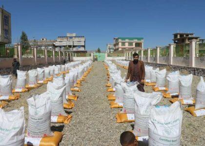 Seeds, fertilizer being distributed to Paktia farmers