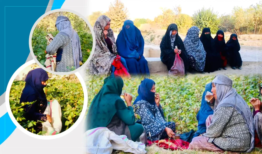 Balkh women grumble about lack of jobs, low wages