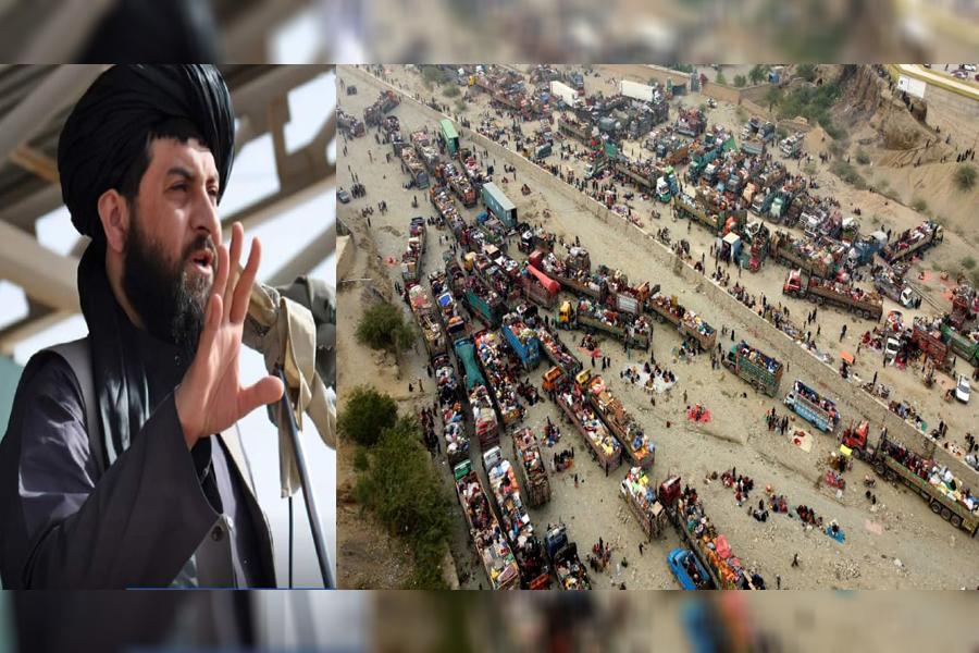 مولوی محمدیعقوب مجاهد: پاکستان به اندازۀ بکارد که آن را بتواند درو کند