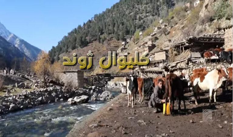 نورستان کې د بانډه چیانو ژوند