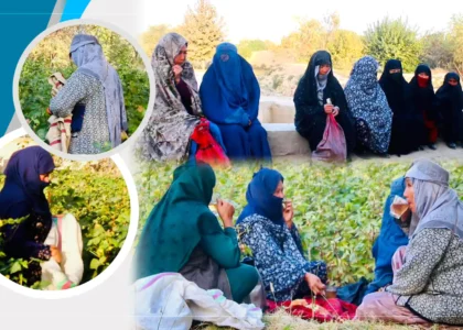 Balkh women grumble about lack of jobs, low wages