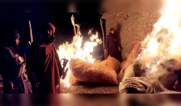 سمنګان کې د نشه‌یي توکو یوه زېرمه وسوځول شوه