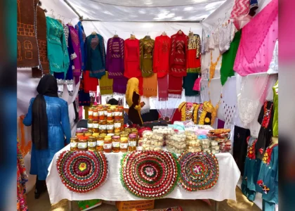 Bamyan women’s interest in handicrafts grows significantly