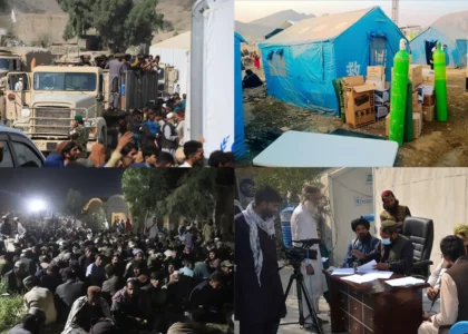 Over 120,000 repatriates benefited from government services; MoRR