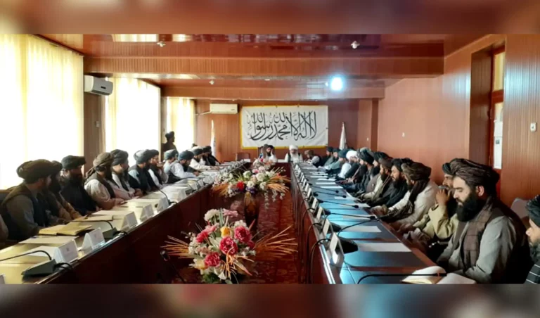 والی ارزگان به نماینده‌گان مؤسسات: خدمات خود را به ولسوالی‌ها و مناطق دوردست نیز گسترش دهید