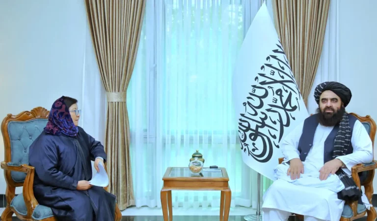 متقي: هېوادونه دې د رسمي او منل شوو ادرسونو له لارې له افغانستان سره تعامل وکړي