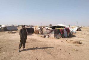 Drought hit Helmand Kochies call for support