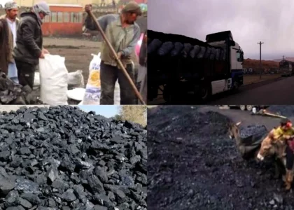 استفادۀ بی‌رویۀ زغال سنگ در بامیان سبب افزایش بیماری‌های تنفسی شده‌است