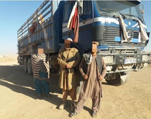 Bid to smuggle sheep to Pakistan thwarted, 3 detained in Helmand