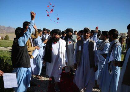 د لوړو زده کړو وزیر: د مسلمانو ګاونډیو هېوادونو پر ضد باید تېز او د دښمنۍ غبرګون ونه لرو