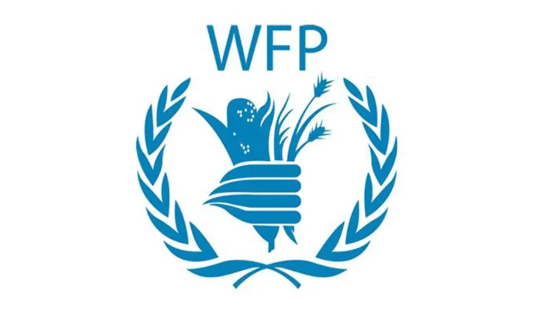 WFP provides cash assistance to nearly 4m Afghans this year