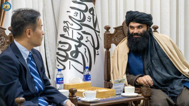Haqqani seeks alternative livelihoods for poppy farmers