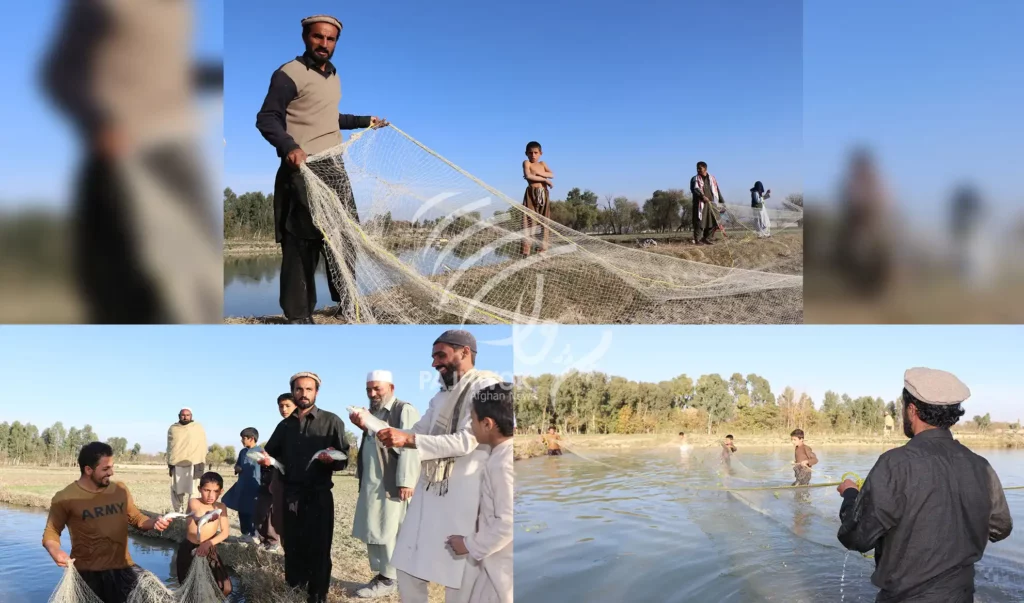 Khost fish farmers eye govt support for business survival