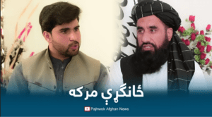 If return from abroad, teachers will be reappointed, says Shahamat