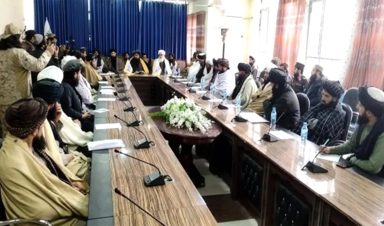 وثیق: یک‌ونیم میلیون جریب زمین از چنگ غاصبان بیرون شده‌است