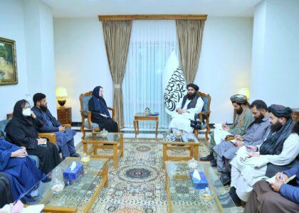 Intel community cooperation needed to support returnees: Muttaqi