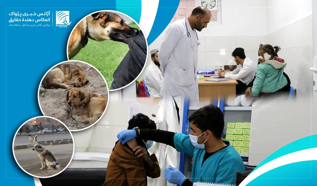 وزارت صحت عامه می‌گوید، بیش از ۷۰ درصد واکسین مورد نیاز برای سگ گزیده‌گی را در دسترس ندارد