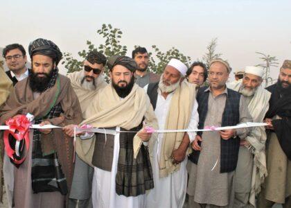 Vegetables’ modified seeds facility created in Nangarhar