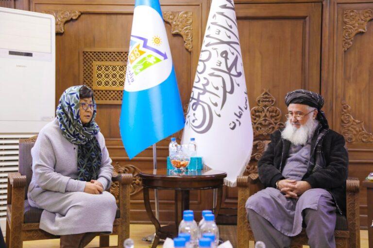 سرپرست وزارت اقتصاد با یوناما در مورد کاهش میزان فقر، بیکاری و ایجاد اشتغال گفتگو کرد