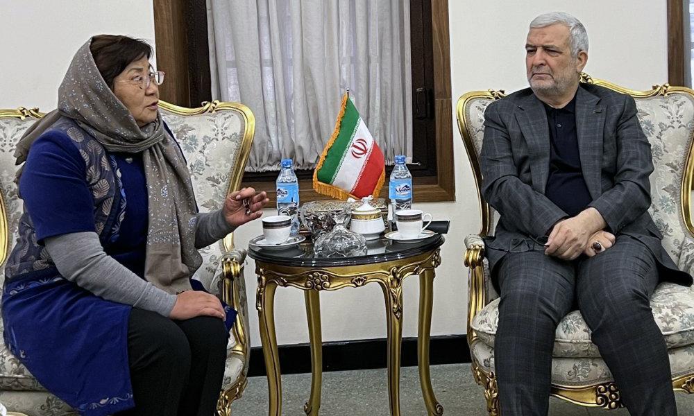 Iranian, UN envoys talk cooperation in Afghanistan