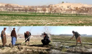 Drought-hit Uruzgan farmers demand dam’s construction