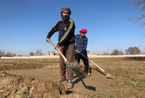 Balkh agriculture sector suffers due to climate change