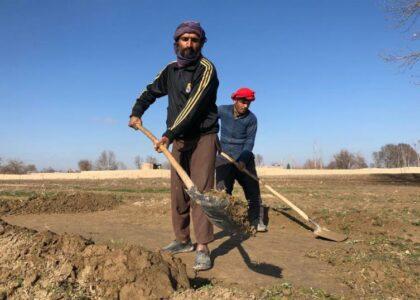 Balkh agriculture sector suffers due to climate change