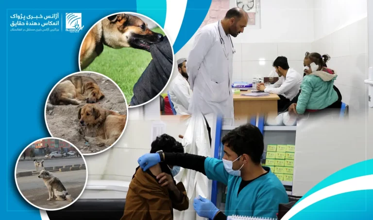 Over 70pc Rabies vaccine not available: MoPH
