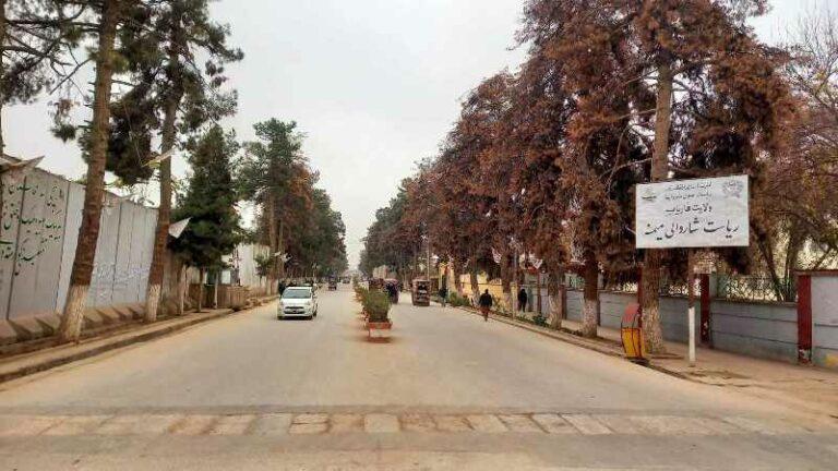 فاریاب کې ځیني خلک د میمنې ښار سړکونو غاړو ته د ونو پر وچېدو او وهلو اندېښنه ښيي