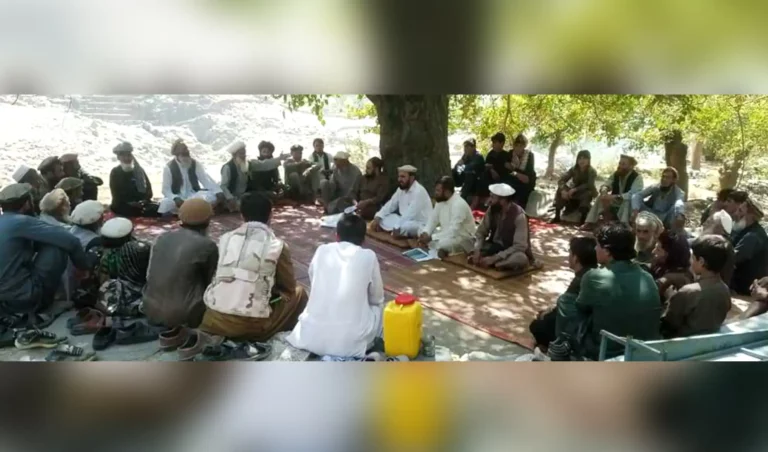 لغمان کې د ځنګلونو ساتنې په موخه کلیوالي شوراګانې جوړېږي