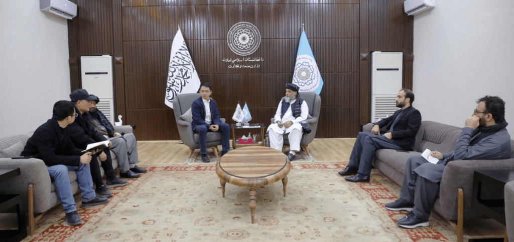 یوه چینایي شرکت افغانستان کې د وچې مېوې پروسس برخه کې پانګونې ته لېوالتیا ښودلې