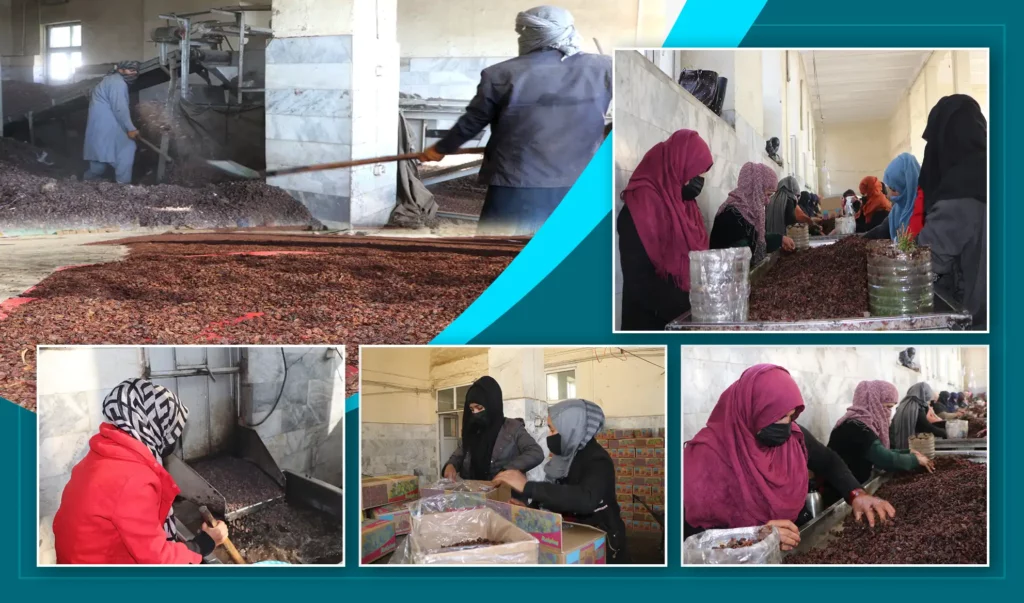 Parwan factory Increases number of women workers, export to Russia