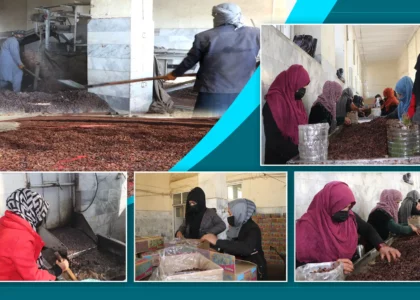 Parwan factory Increases number of women workers, export to Russia