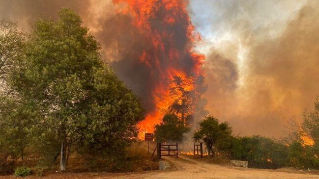 شمار جان باخته‌گان آتش‌سوزی جنگلات در چیلی به ۱۱۲ تن رسید