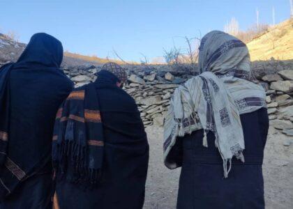3 detained over hunting rare birds, animals in Ghor